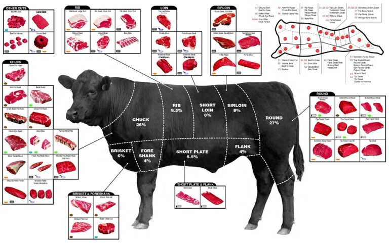 Bull Cut Image