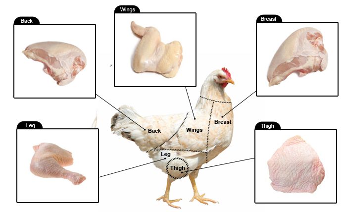 Chicken Cuts Image
