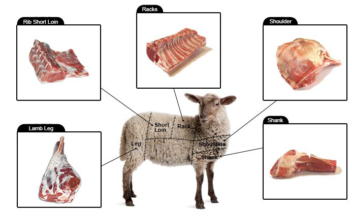 Lamb Cuts Image